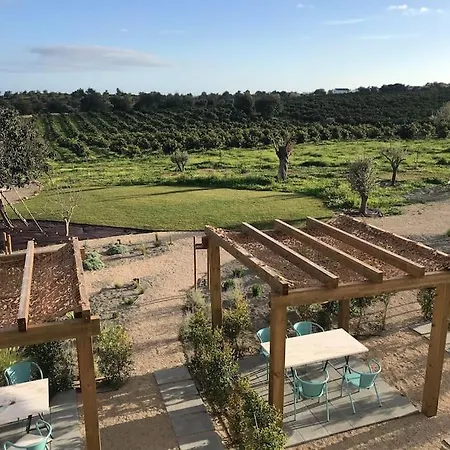 Quinta Da Janela Azul - 4 Casas ヴィラ タヴィラ