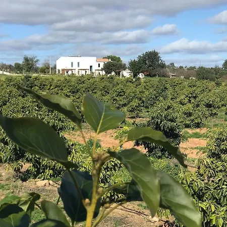 Quinta Da Janela Azul - 4 Casas *