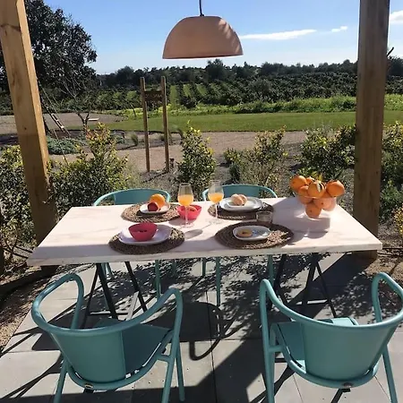 Quinta Da Janela Azul - 4 Casas ヴィラ