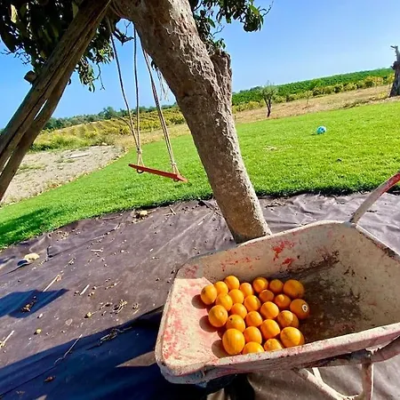 Quinta Da Janela Azul - 4 Casas *
