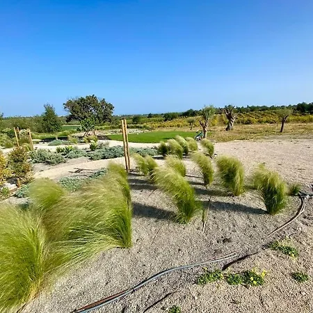 ヴィラ Quinta Da Janela Azul - 4 Casas タヴィラ