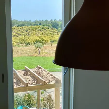 Quinta Da Janela Azul - 4 Casas * タヴィラ
