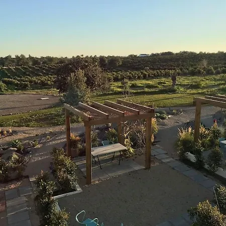 Quinta Da Janela Azul - 4 Casas ヴィラ