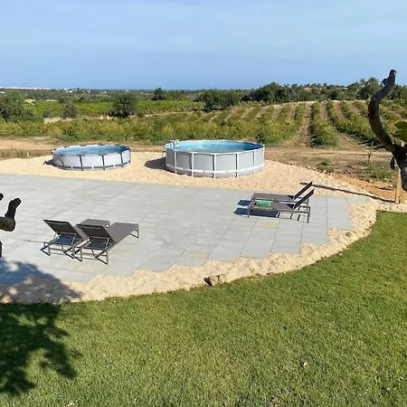 Quinta Da Janela Azul - 4 Casas * タヴィラ