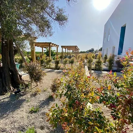 Quinta Da Janela Azul - 4 Casas タヴィラ