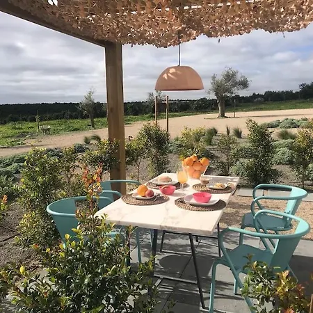 Quinta Da Janela Azul - 4 Casas ヴィラ タヴィラ