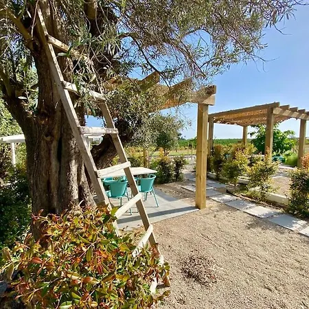 Quinta Da Janela Azul - 4 Casas * タヴィラ
