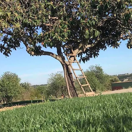 ヴィラ Quinta Da Janela Azul - 4 Casas *